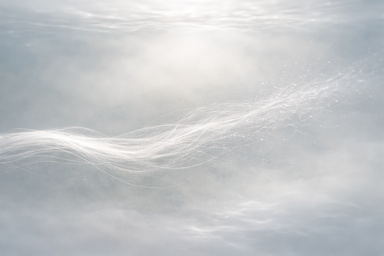 タンパク質ということ。