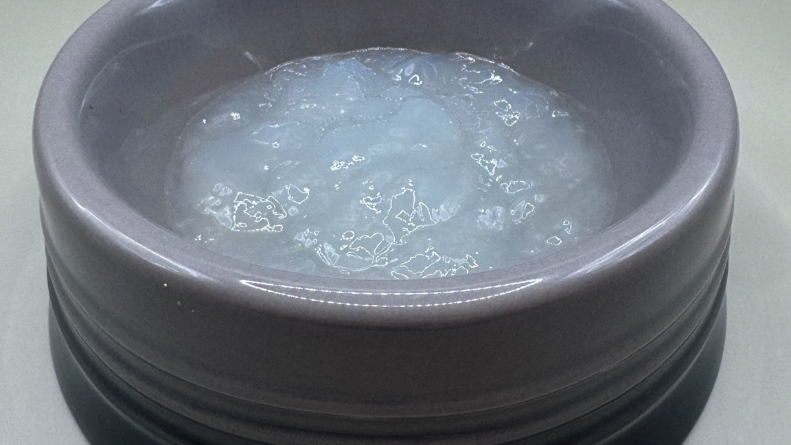 犬用ボーンブロスとは？効果と選び方をやさしく解説