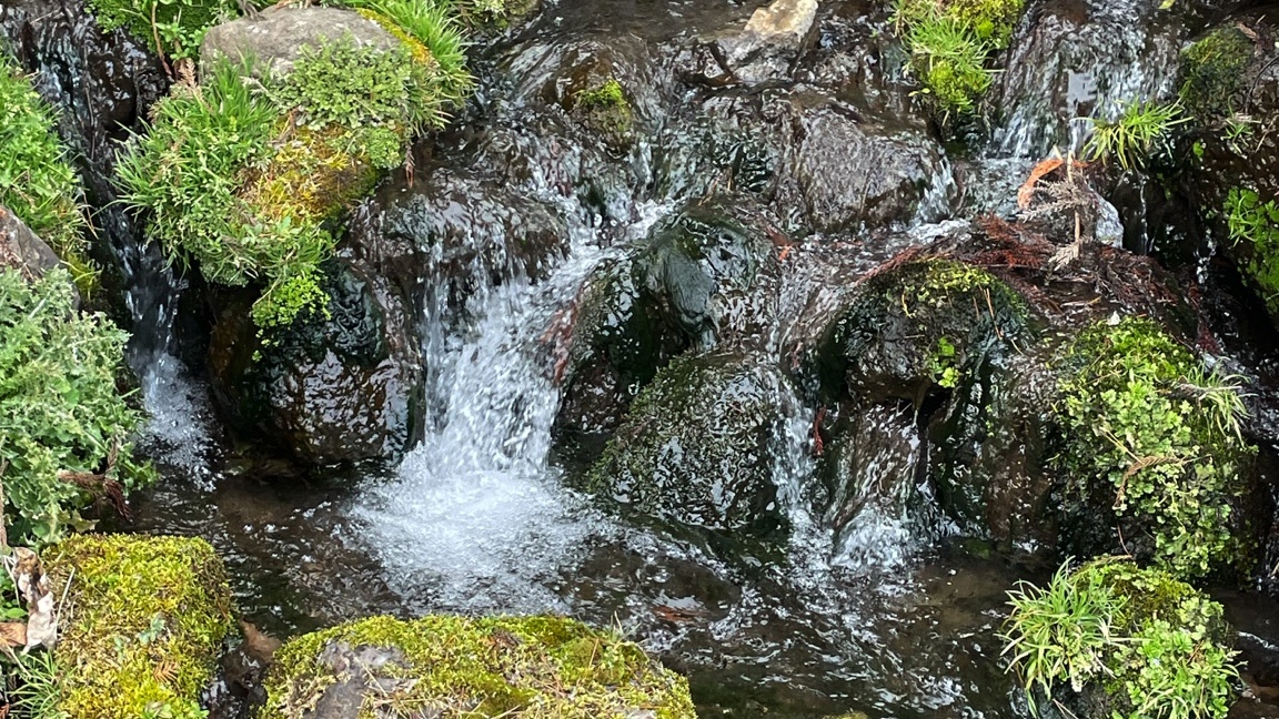 素材を、見に行く。
