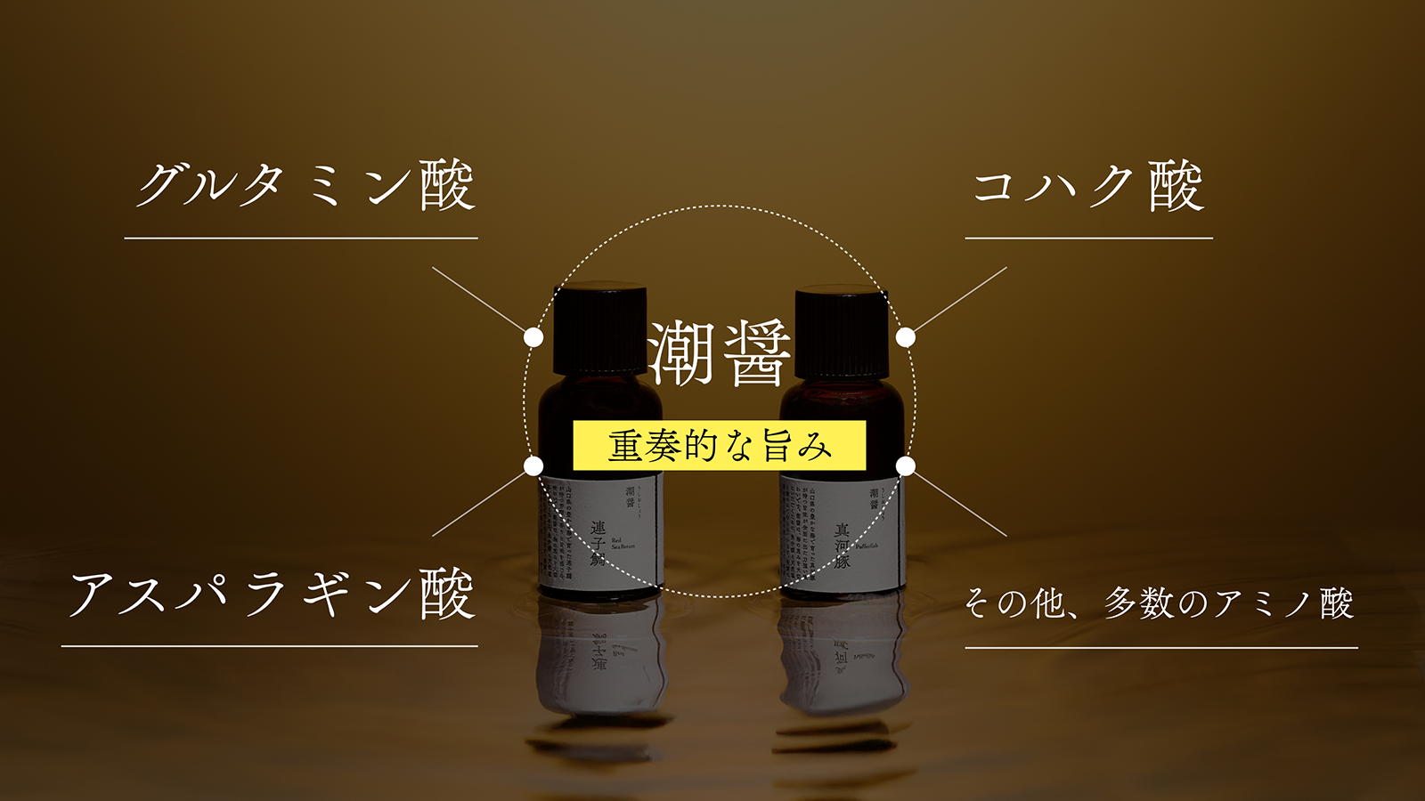 潮醤は、なぜ美味しいのか？