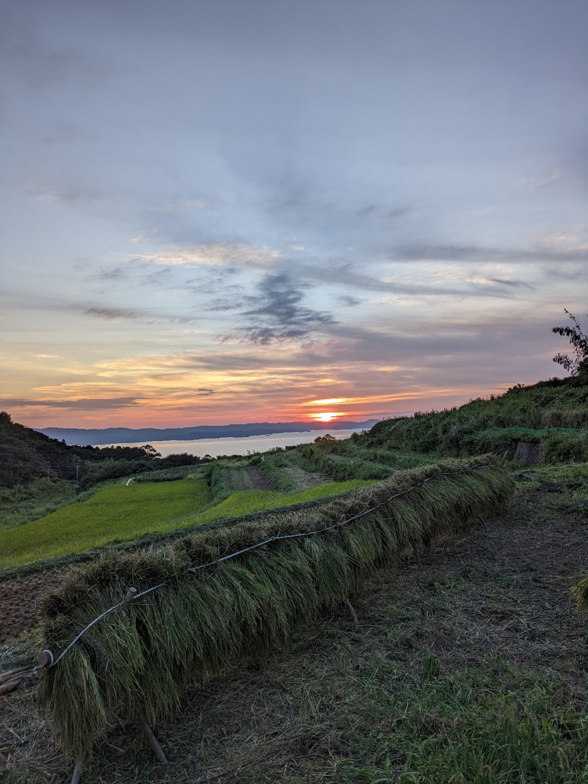 HealingFarm井手農園のものがたり、はじまります。