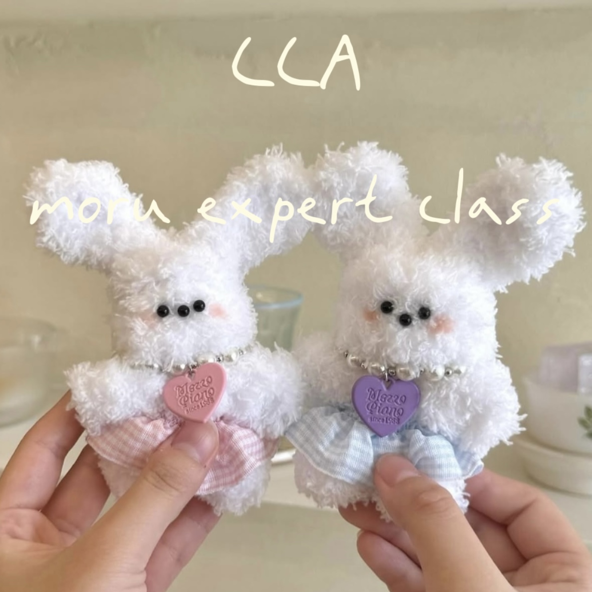 CCA moru expert class