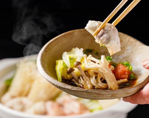 【公式ECサイトOPEN記念】感謝クーポン配布中！全商品送料無料✨