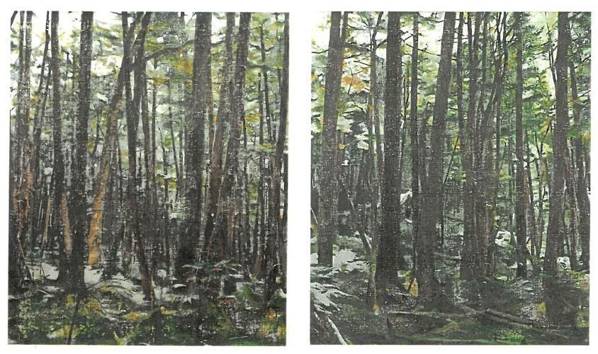 ランドスケール01・ランドスケール02