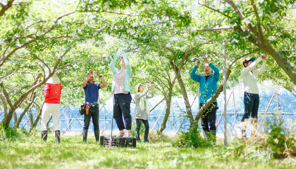 まるごとオーナー制度2026 スタート