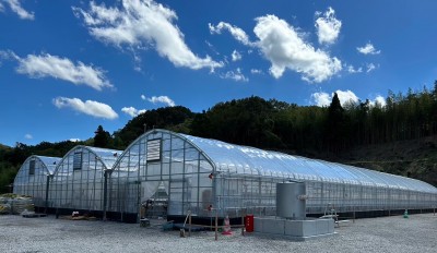 やくもファーム｜神戸市北区の農地再生プロジェクト