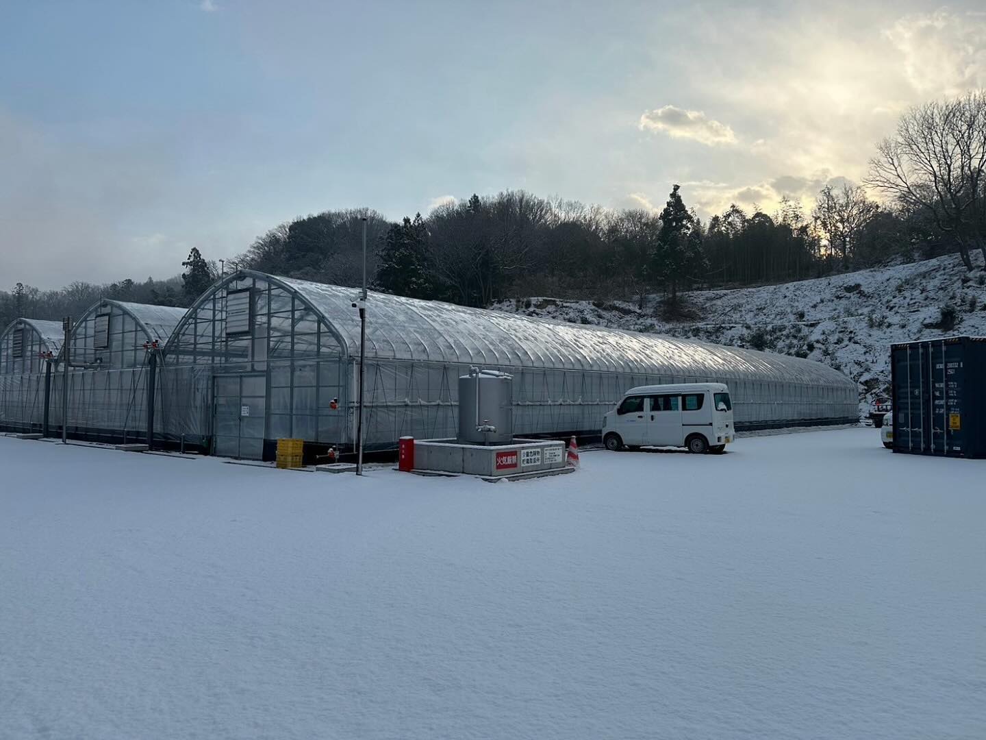 【❄️雪の朝と、今日のいちごづくり】  2025年1月10日