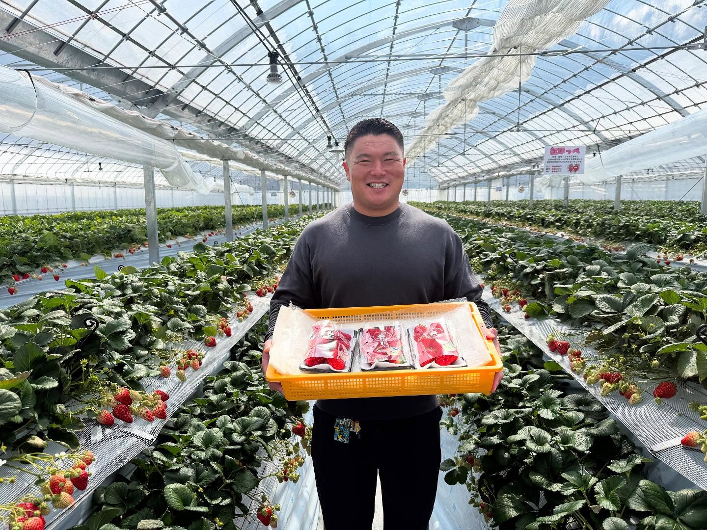 【🏉山下 裕史選手 ご来園🍓】2025年4月17日