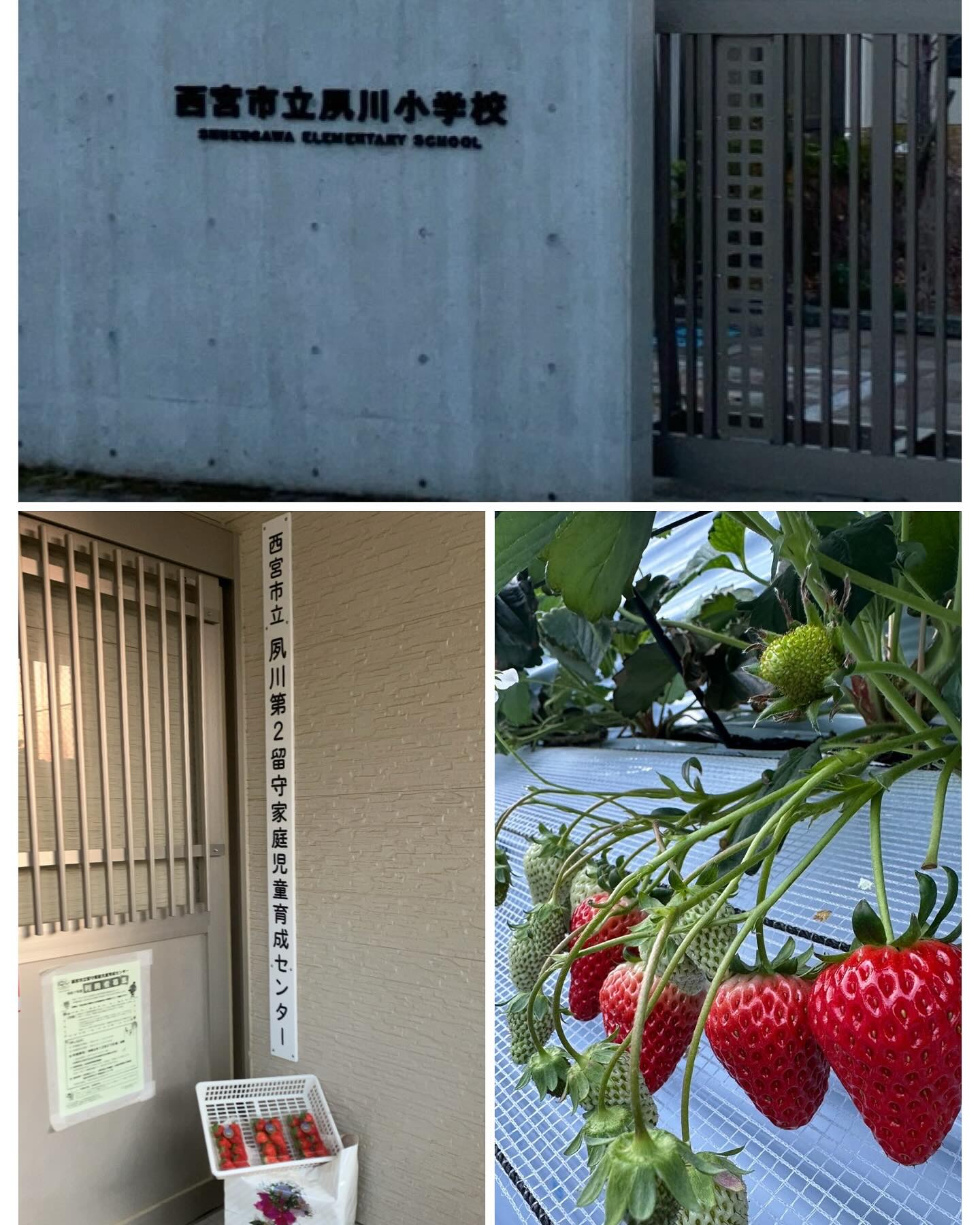 【社会貢献活動のご報告】  2025年1月30日