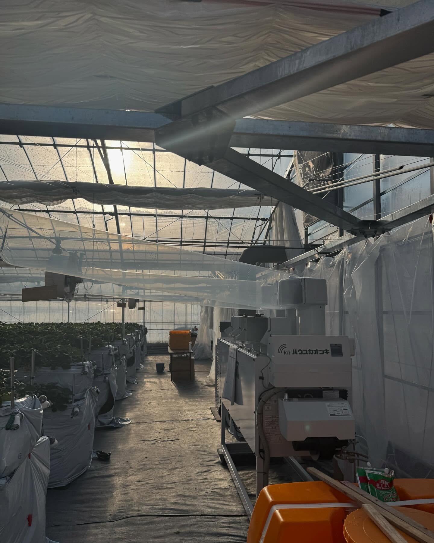 【ハウス加温機のご紹介】  2025年1月26日