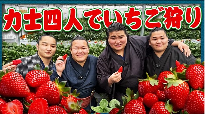 【伊勢ヶ濱部屋のみなさんがご来園🎥🍓】2025年4月29日