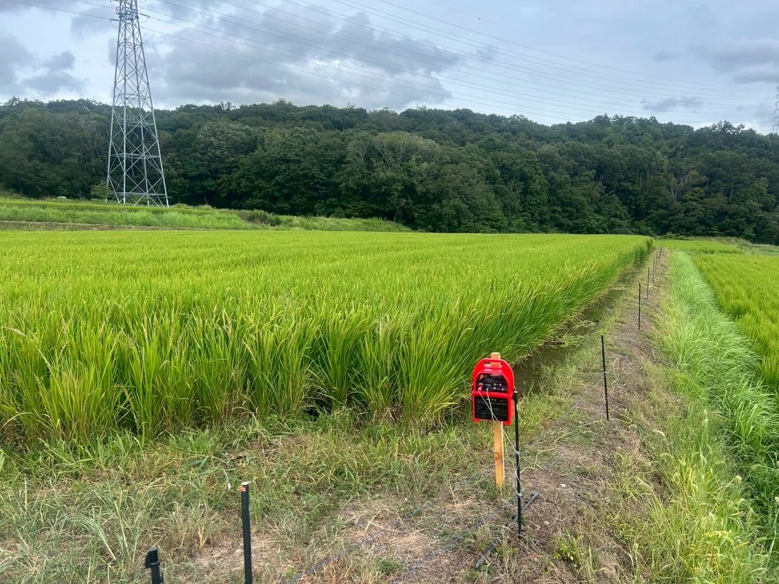 農家が5年で25％減。農業が消える未来を変えるために、私たちが今やっていること