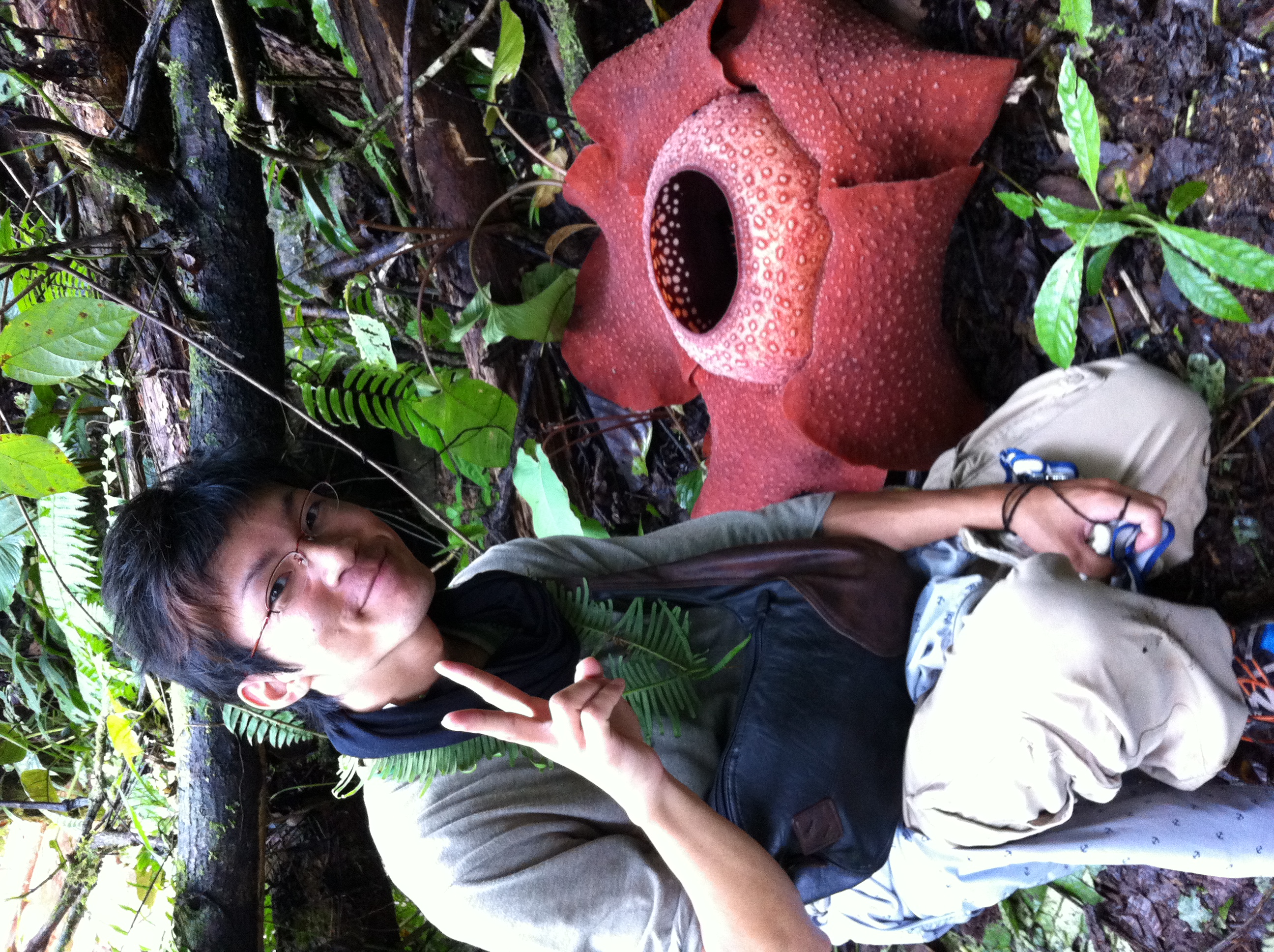 エリオクエストが、『エリオクエスト竜馬』として再出発します！