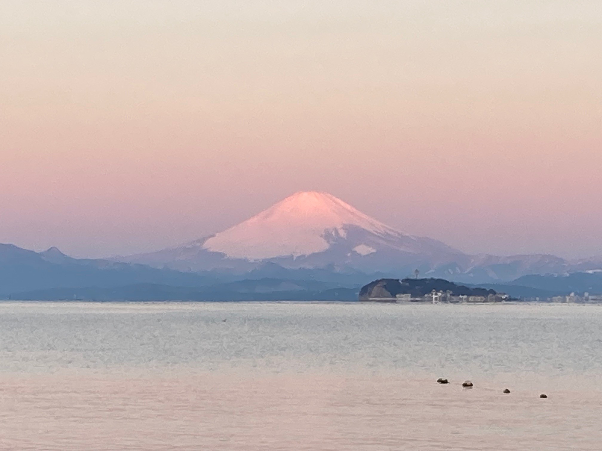 謹賀新年2026 店主からのご挨拶