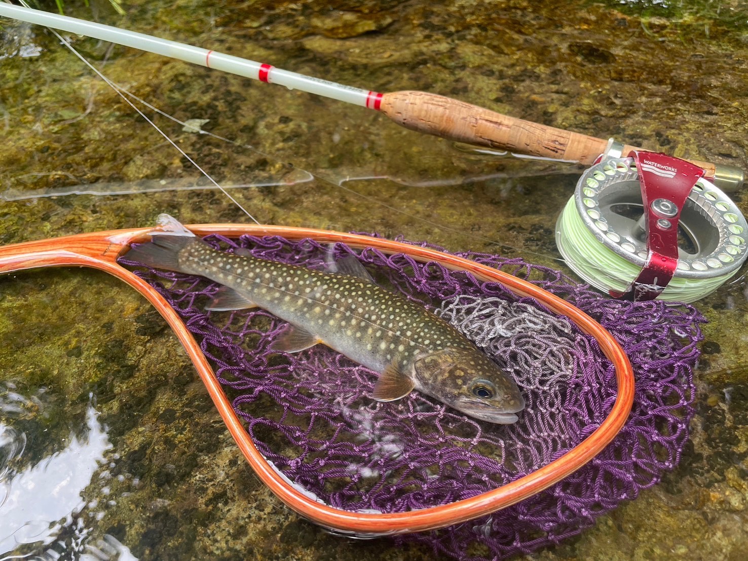 お知らせテスト01