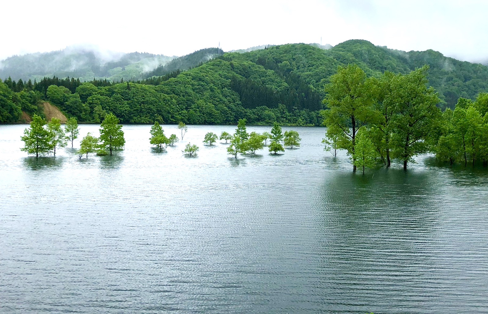 お知らせテスト04