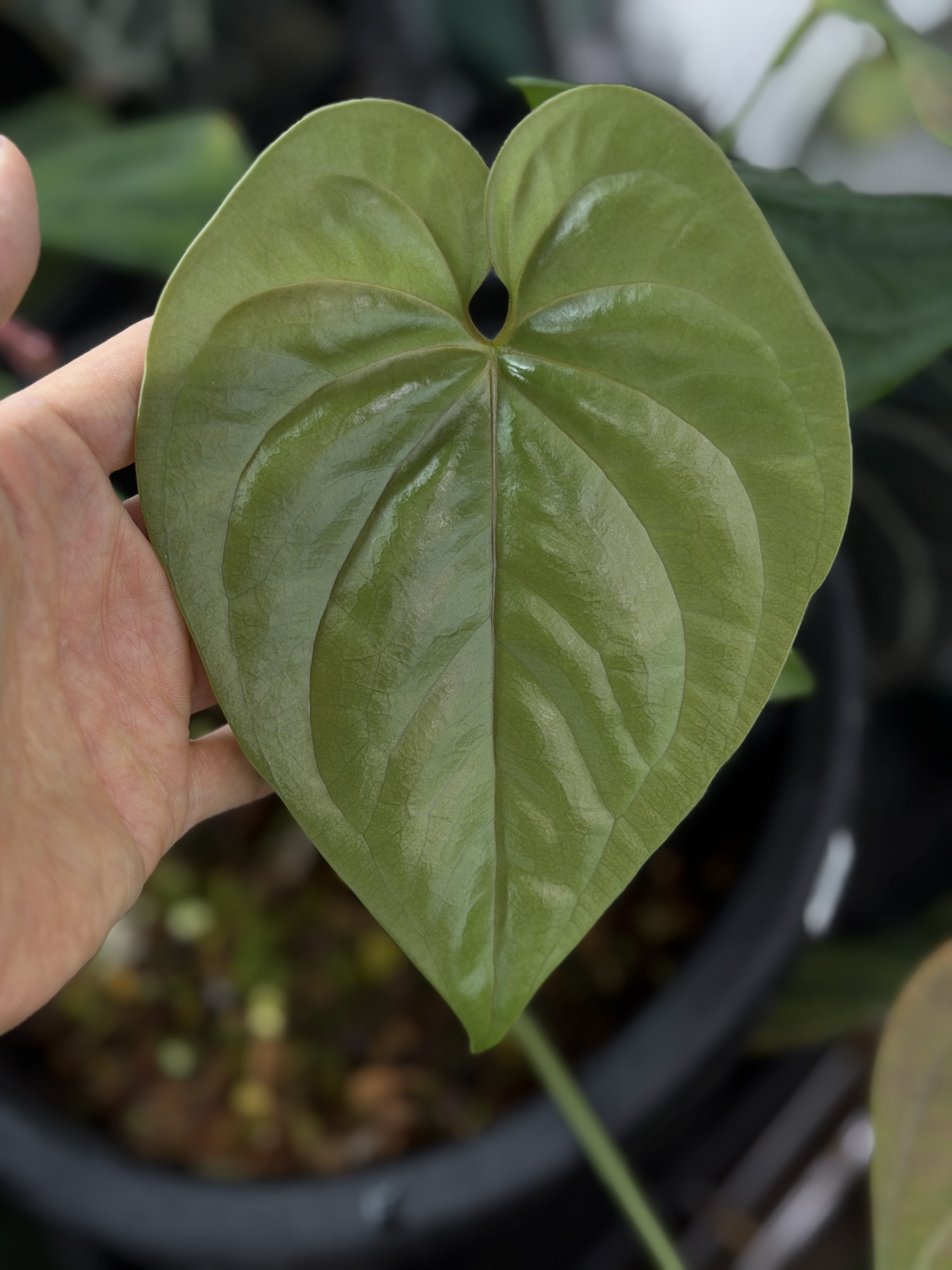 湿度80%の「質」を疑うということ