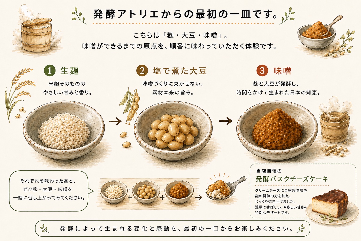 Vol.6｜味噌はなぜうま味が生まれるのか
