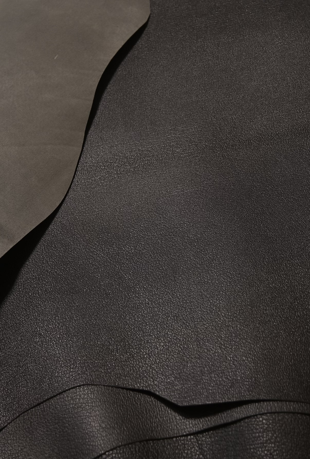 シュリーについて