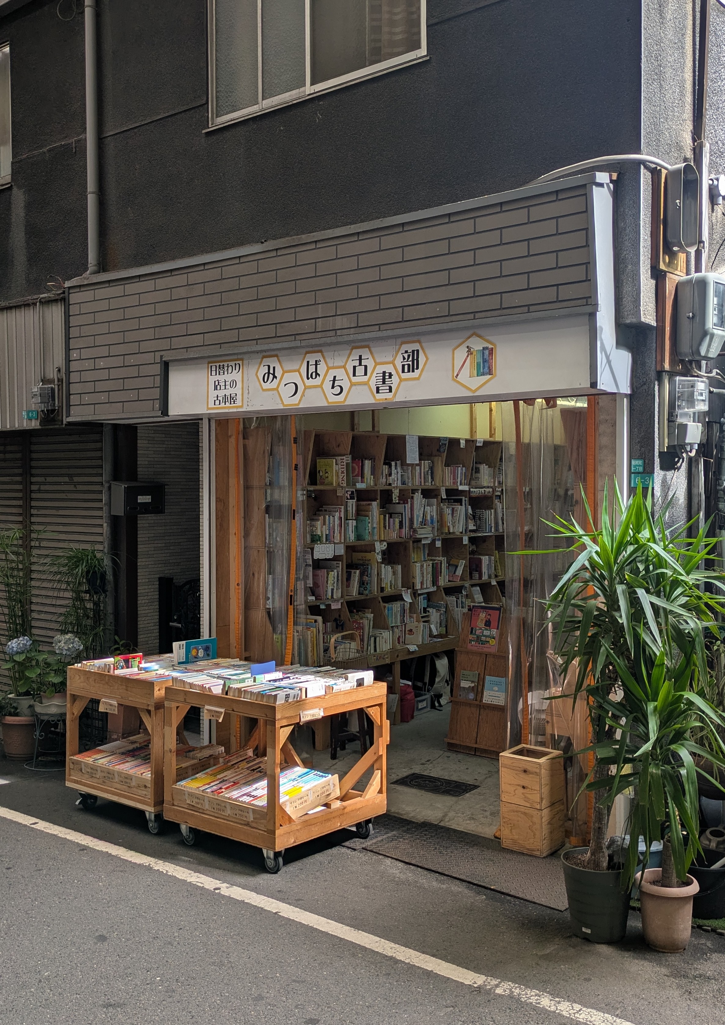 みつばち古書部、店番します!