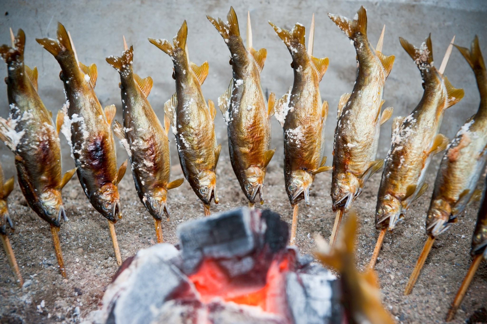 熊本養魚場「炭火焼　絆鮎」ネット販売を開始！