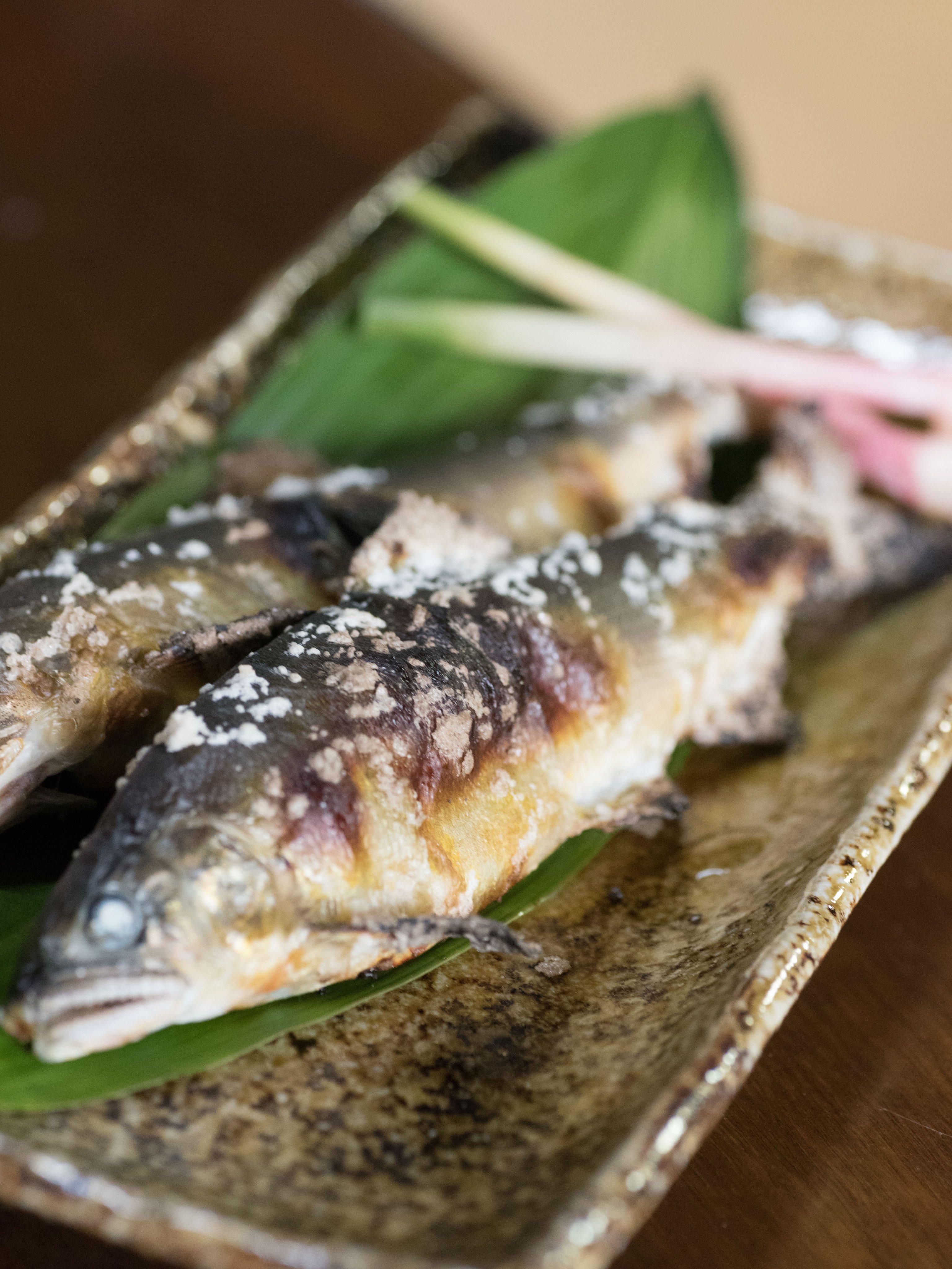 今年も順調に美味しいアユが育っています!