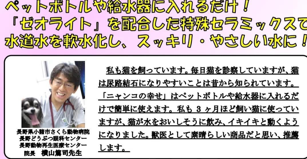 ニャンコの幸せ 20%オフセール