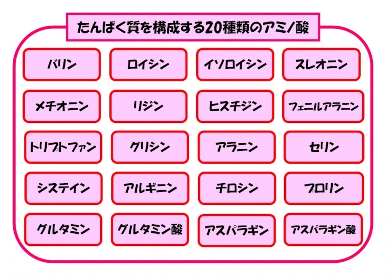 シルクプロティン「絹透粉」セール