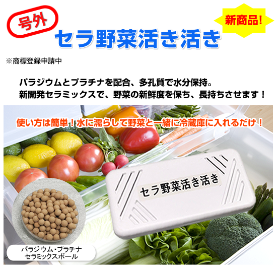冷蔵庫で野菜がダメに…なんてもう言わせません