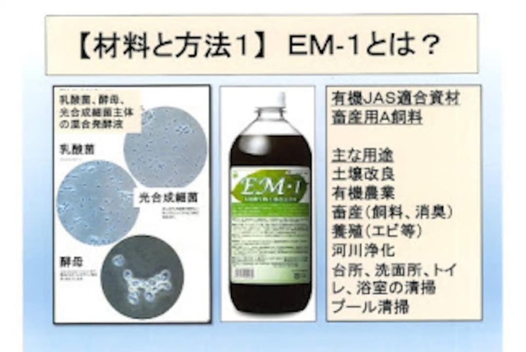 EM        活性液　　2リットル  20%オフセール