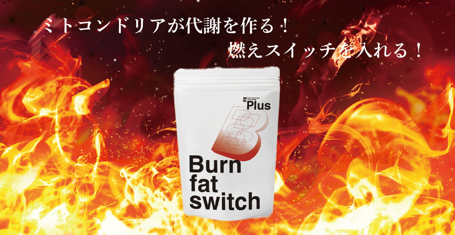ミトコンドリアが代謝を作る！