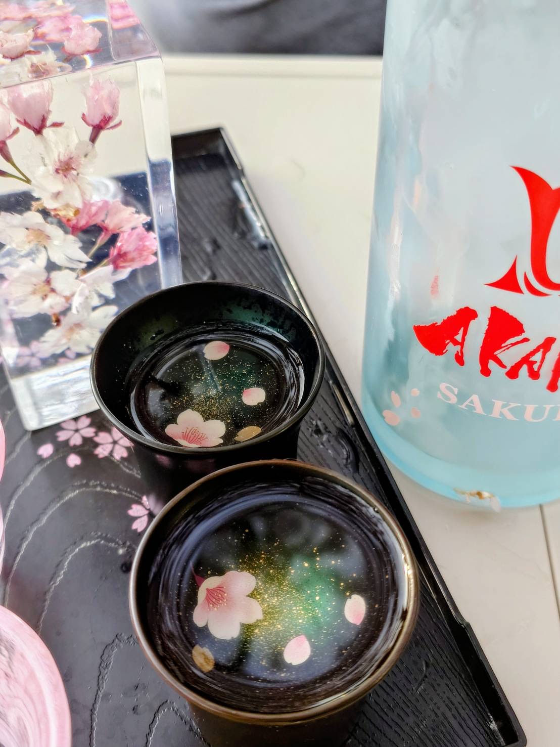 お花見に宙COCORO