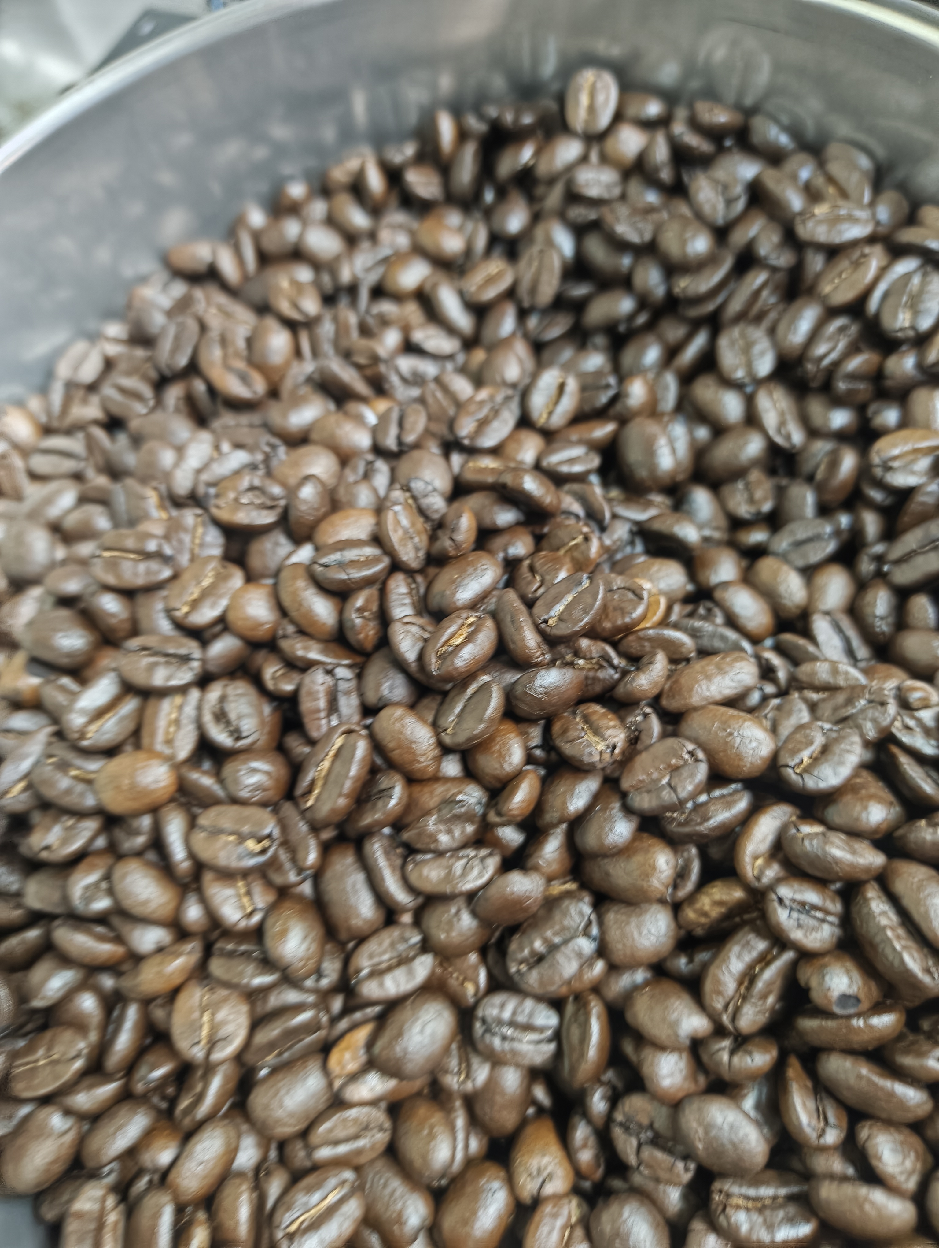 本日9日(月)12:00〜送料無料キャンペーン開催!