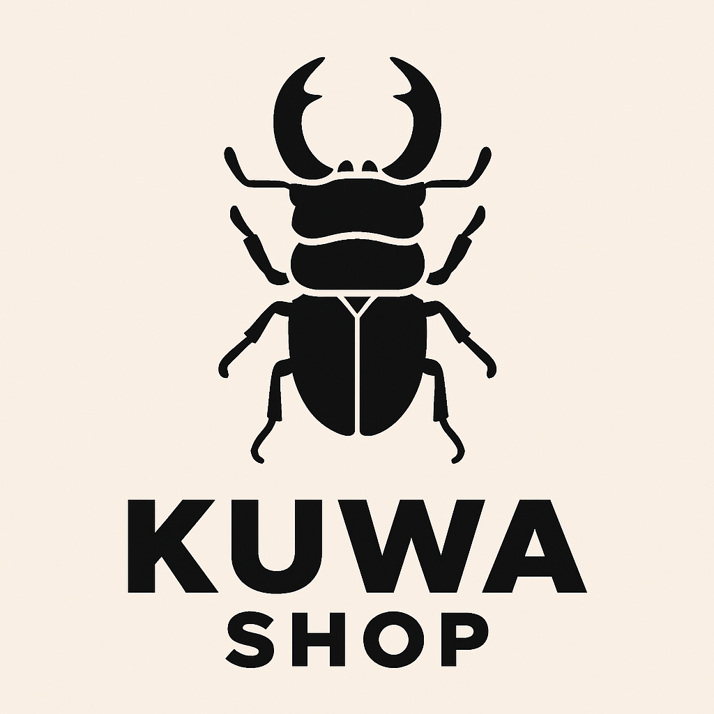 始めましてKUWAHOSPです!【セール情報】