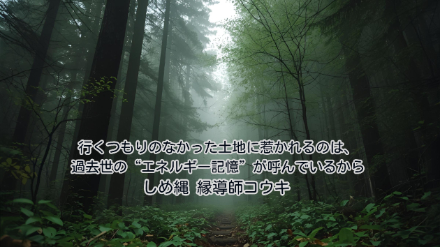 行くつもりのなかった土地に惹かれるのは、過去世の“エネルギー記憶”が呼んでいるから｜しめ縄 縁導師コ