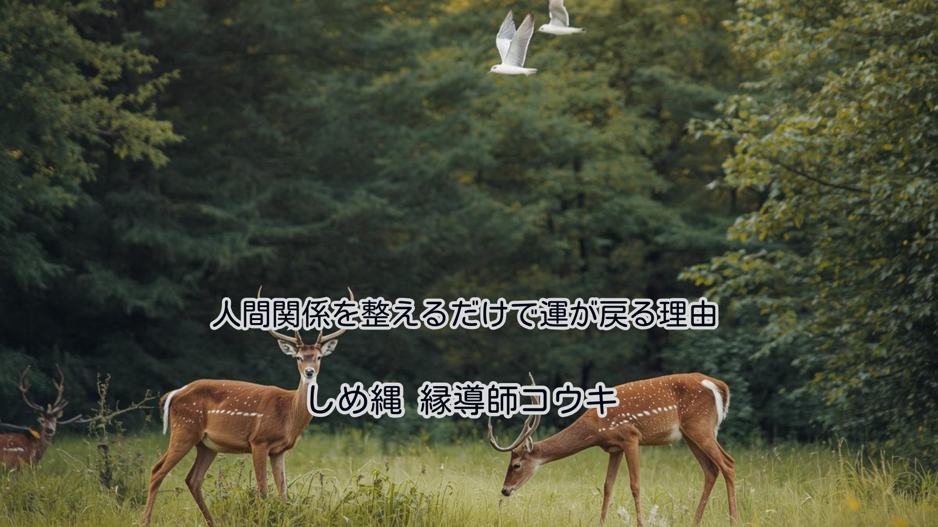 人間関係を整えるだけで運が戻る理由｜しめ縄 コウキ