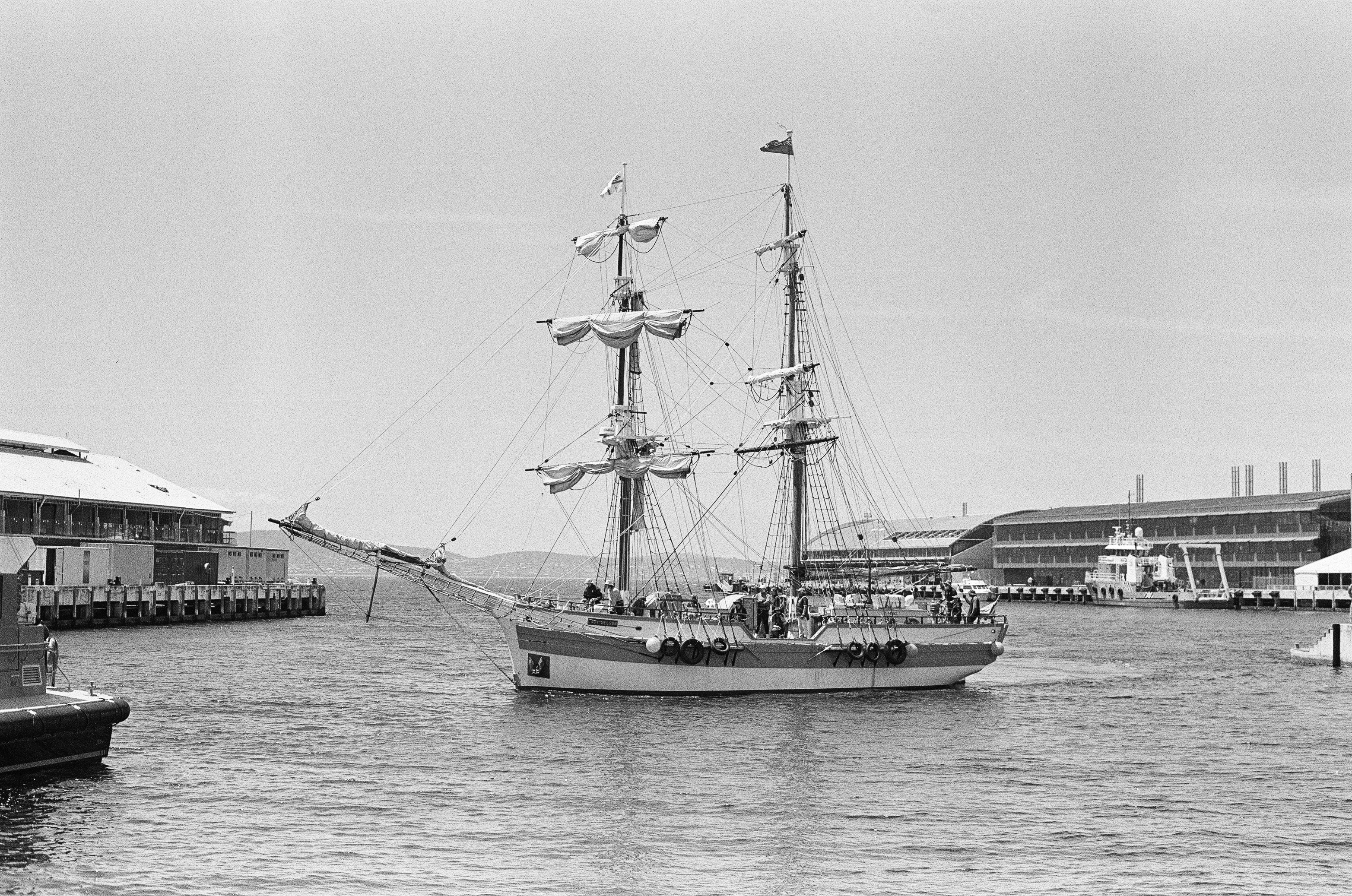 Pre-orders for LUX004 are now open!