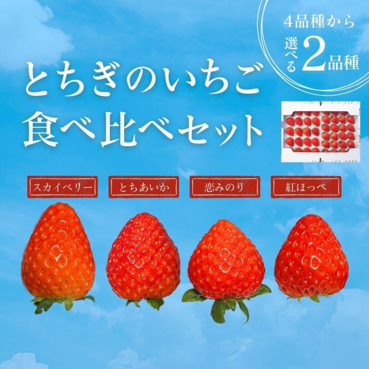 「2品種が選べるとちぎのいちご食べ比べセット」注文受付は4/10(金)まで!