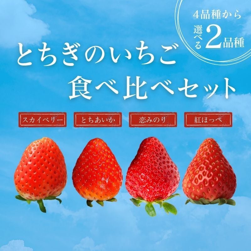 「2品種が選べるとちぎのいちご食べ比べセット」注文受付を開始します！