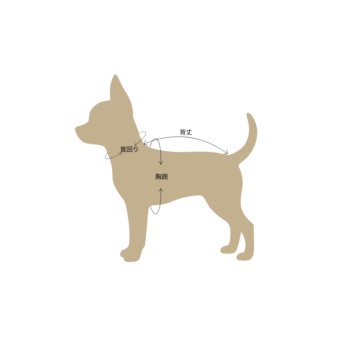 【サイズ表記の見方について】