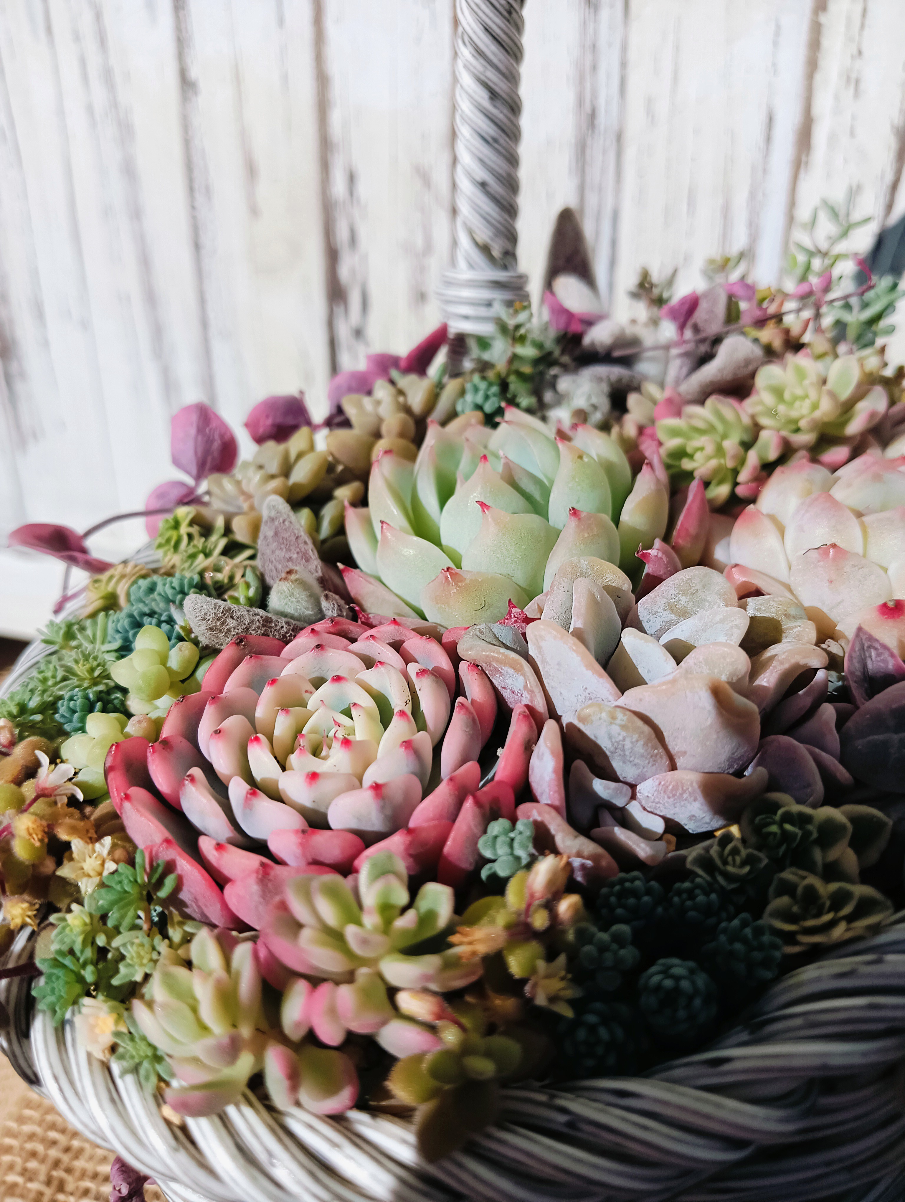 新年のご挨拶🎍