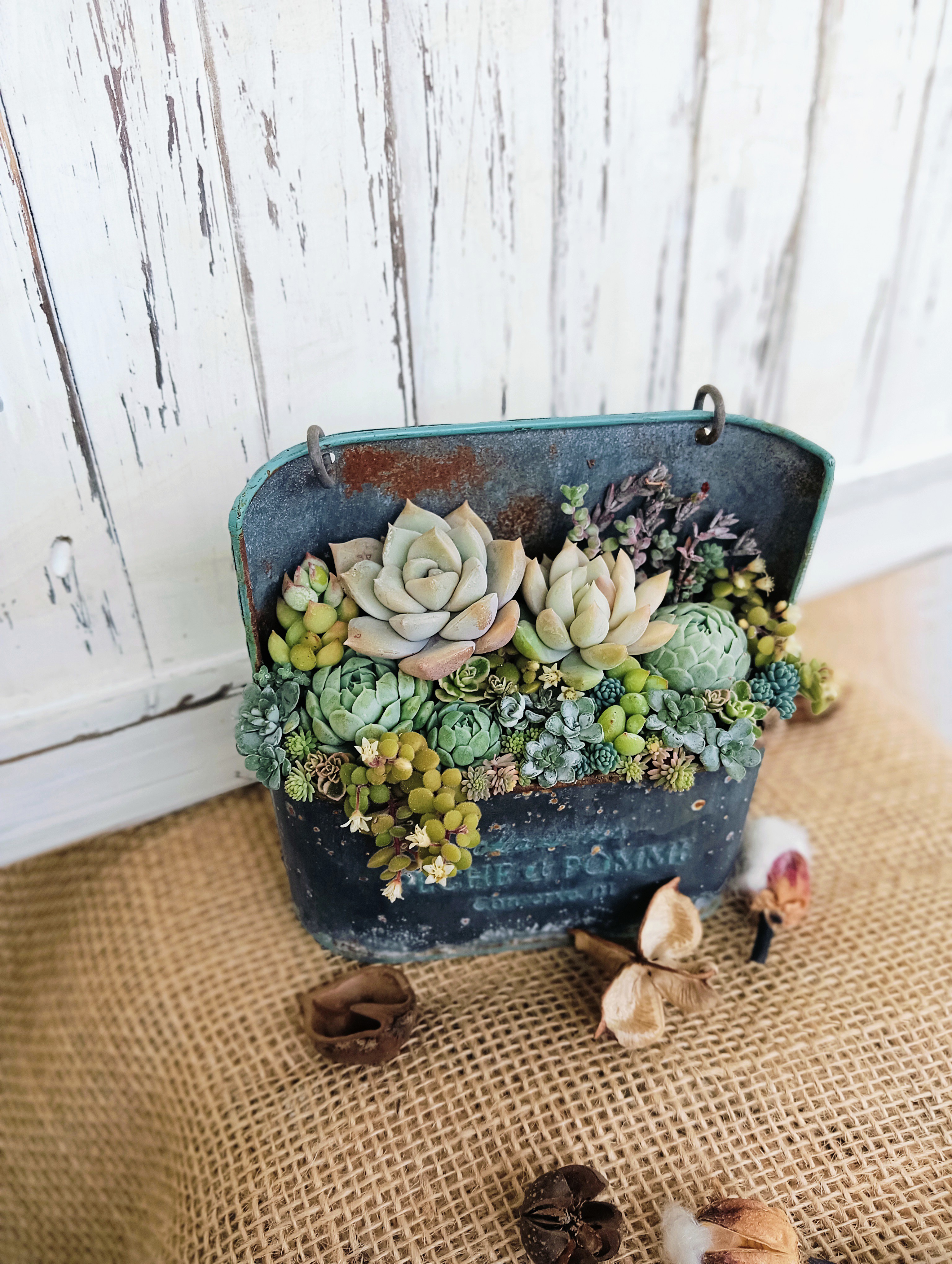 販売期間延長しました！