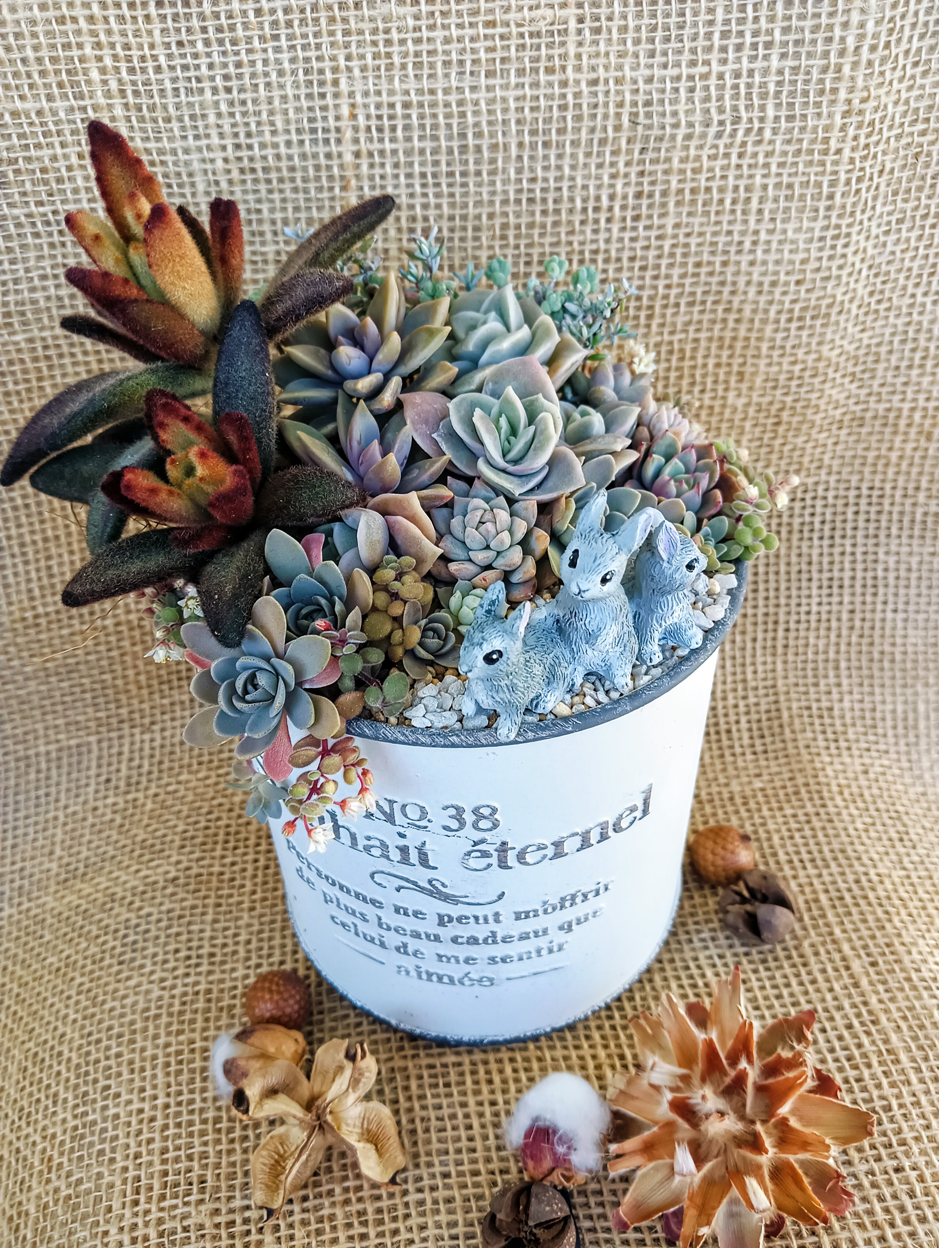 ショップOPEN準備してます！（2026年1月OPEN予定）