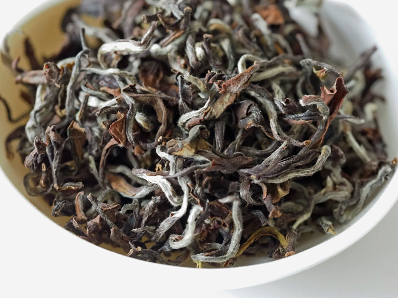 WebShop移転作業完了