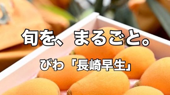★　産地直送　第一弾　「長崎県産 びわ」　販売開始　★