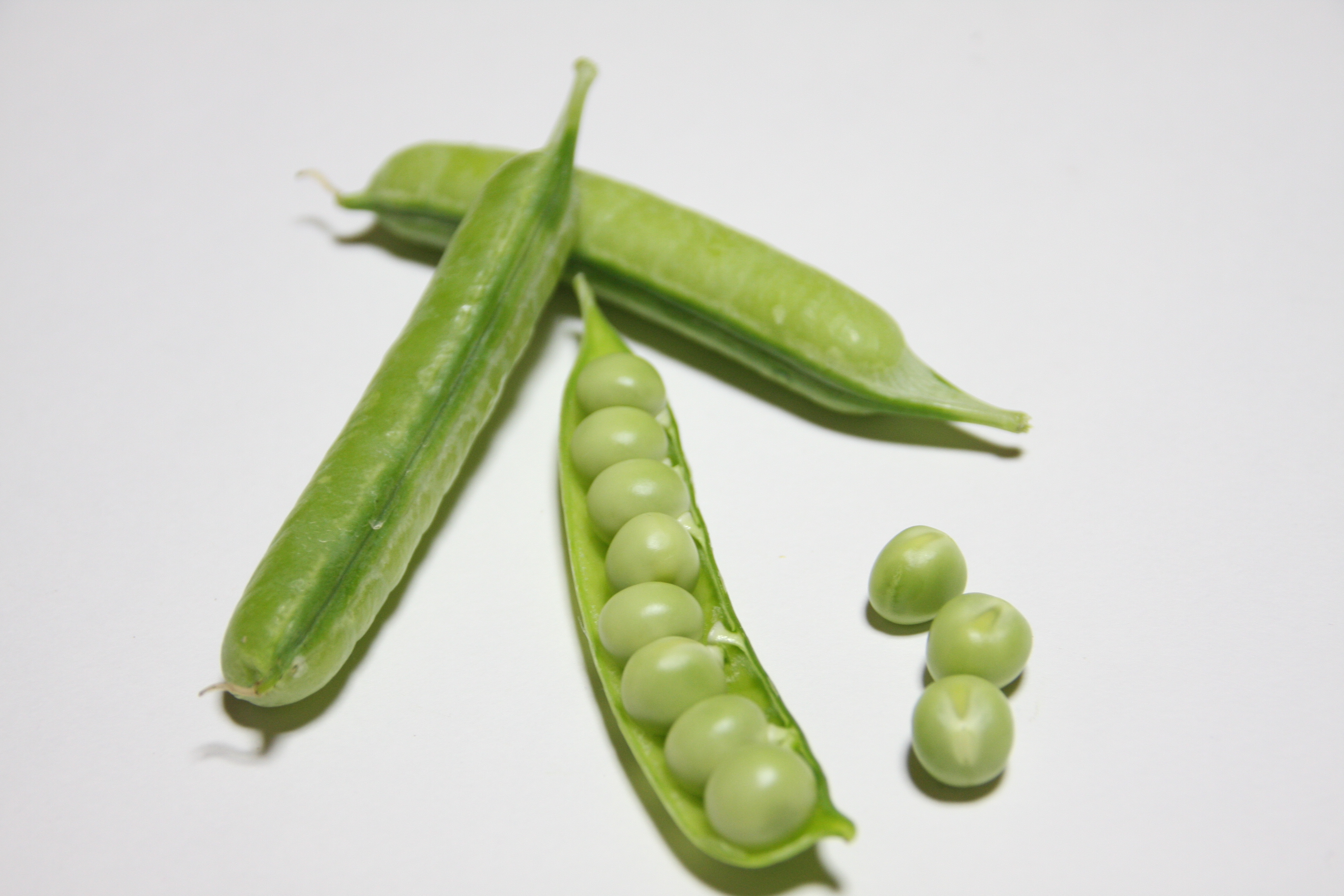 紀州うすい（うすいえんどう）販売開始します！