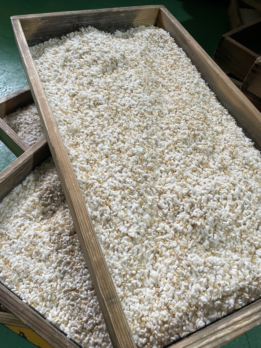 玄米生麹でつくる甘酒レシピ～体にやさしい手作り甘酒の魅力と作り方を徹底解説！～