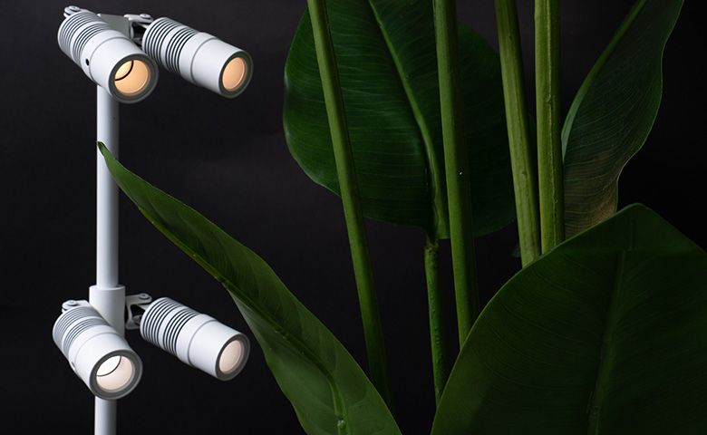 サイトオープンのお知らせ