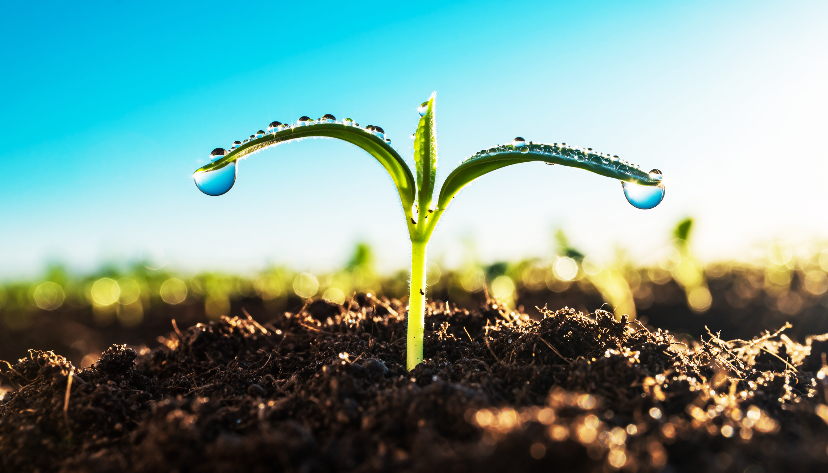 【開設のご挨拶】地球の未来を大切に想い、共にあゆむ場所 🌿