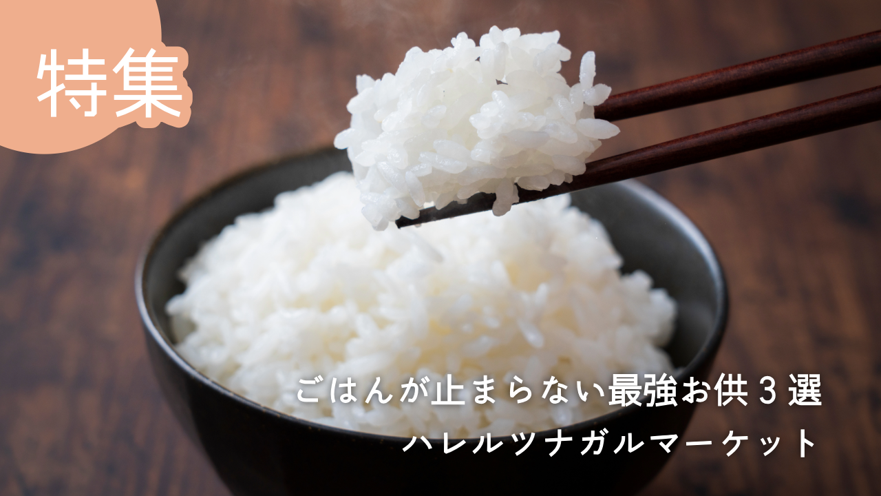 【食べすぎ注意】ごはんが止まらない最強お供3選